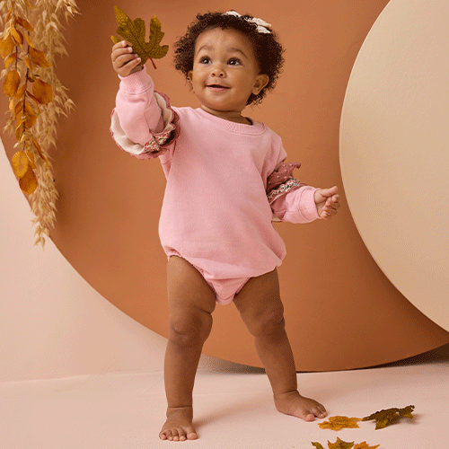 Fall Favorites